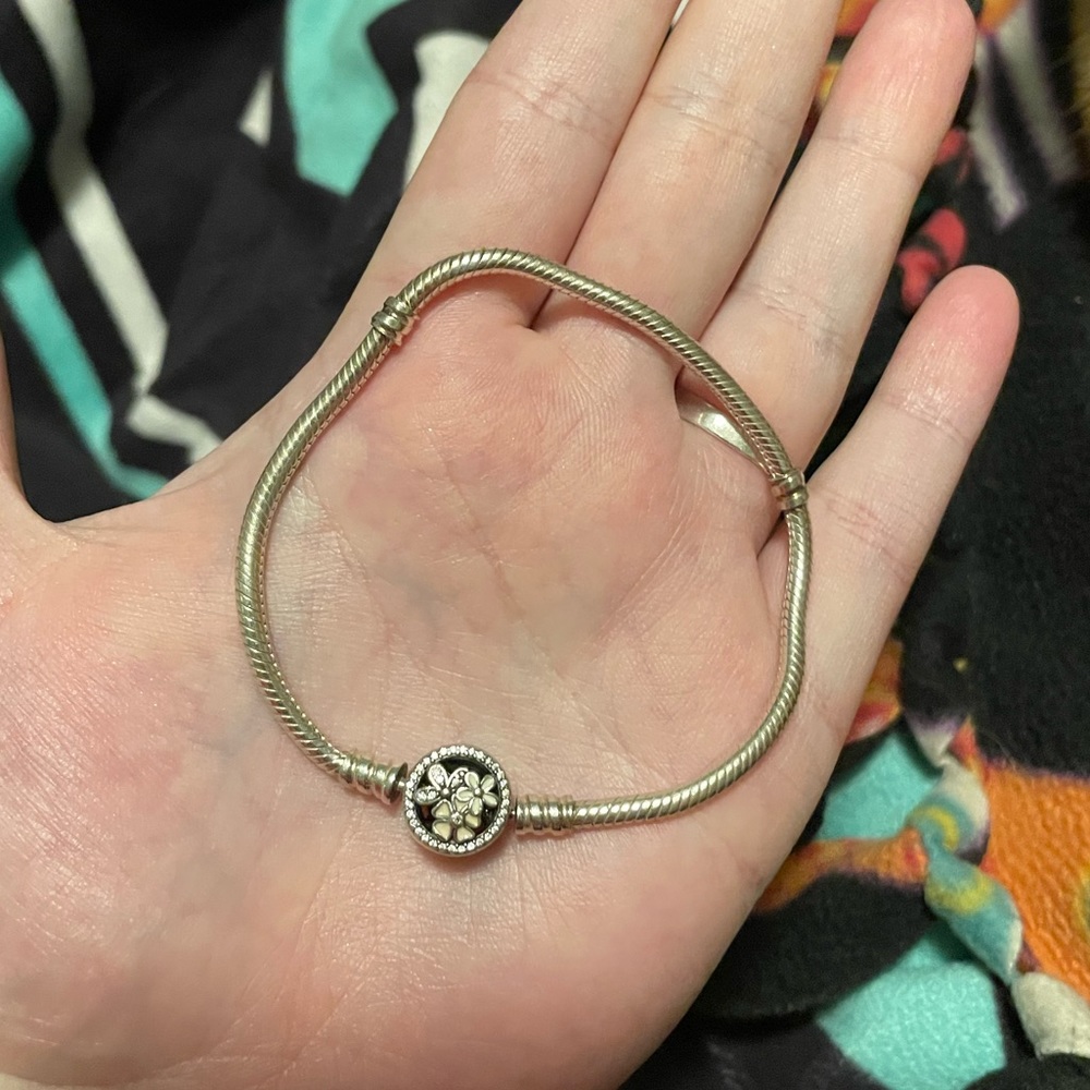Pandora Charm Bracelet